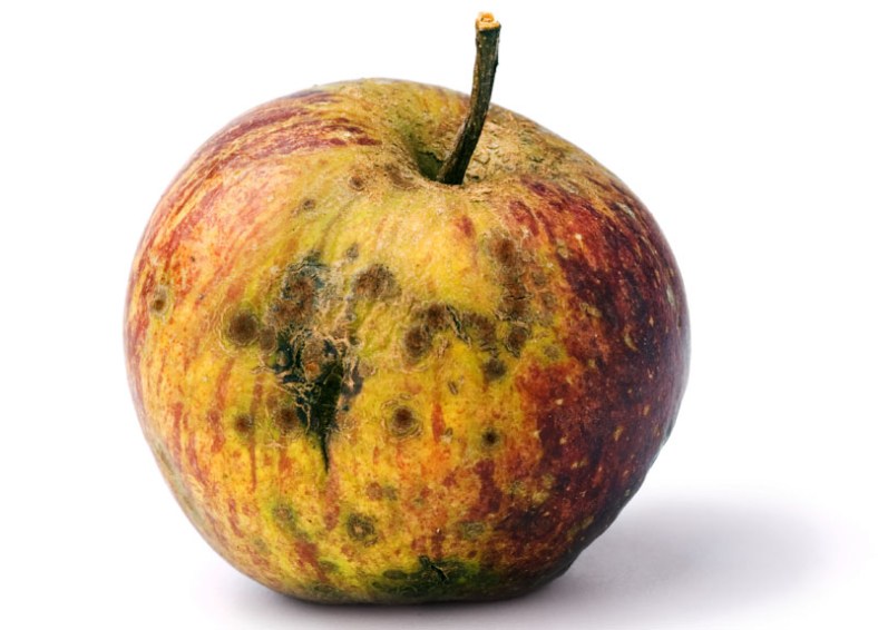 R_ttent_eple_art_36396a