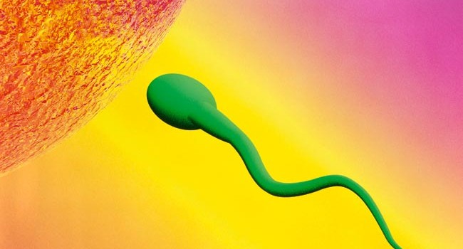 Sammen-for-livet-650x350